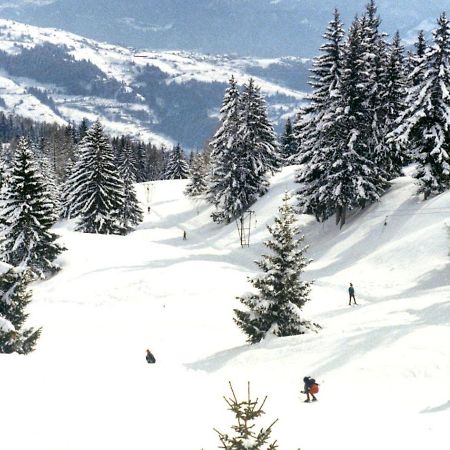 Woodland Village Anzere Ayent Buitenkant foto